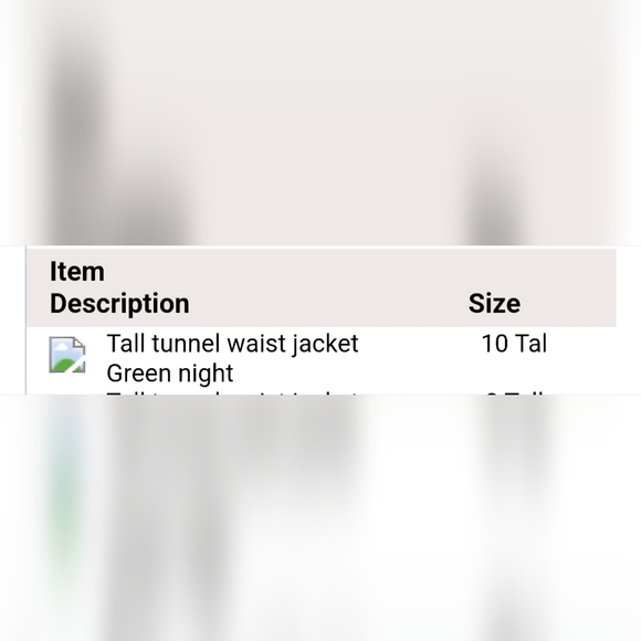 Banana Republic woman's tunnel waist jacket,  color: green night,  size: 10 tall - Picture 15 of 15